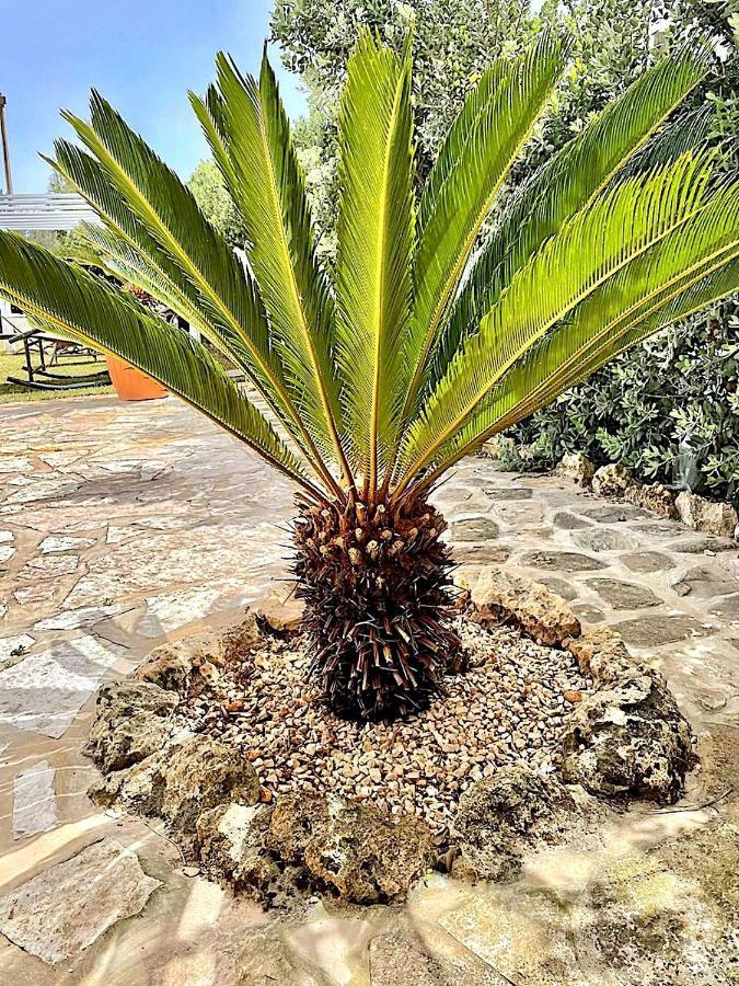 Lorelai Beach Marsala Eksteriør billede